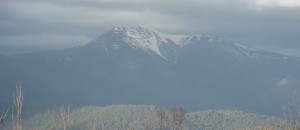 thumb_Jamieson Sheepyard 20.09.08 139_1024