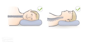 spine-pillow