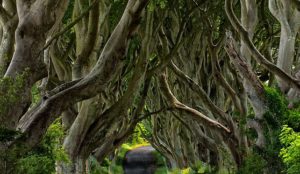 9aedbd6263e2eddbbae0587d80c66cf3