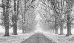 Stunning-landscapes-of-Ray-Jennings-22