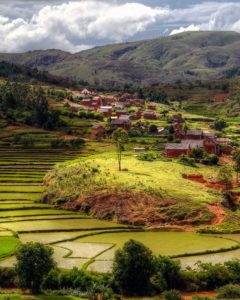 372ac92fa7085ad3ae208d0ad10a7c1f